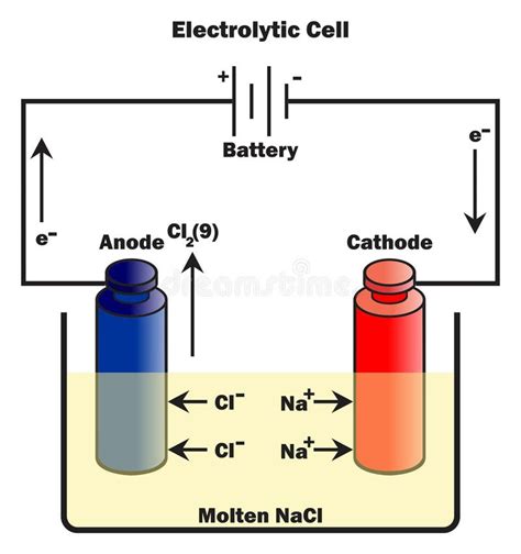 Electrolytic Cell Infographic Diagram with Components Stock Vector - Illustration of education ...