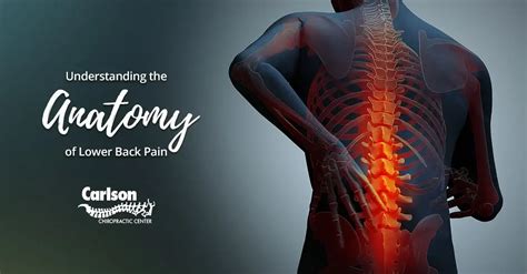 Understanding the Anatomy of Lower Back Pain - Carlson Chiropractic Center