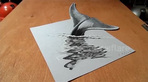 Newsflare - How I Draw a 3D Blue Whale, Optical Illusion & Awesome Animals by Vamos