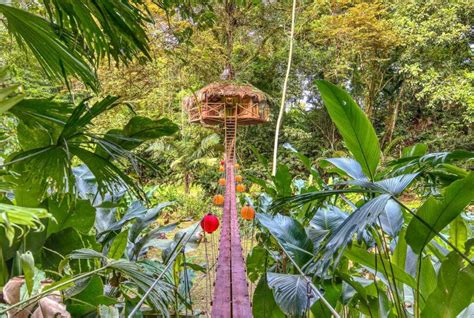 Best Treehouse Escapes on Airbnb – Home Addict