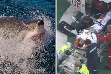 Shark attack: Surfer fights off great white in Western Australia | Daily Star