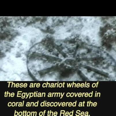 Egyptian chariot wheel at bottom of the Red Sea | Bible history, Red sea, Bible evidence