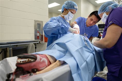 UF students advance surgery skills using synthetic cadavers » The Veterinary Page - College of ...