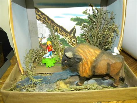 Habitat Diorama Project - Ms. C. Evans' Third Grade