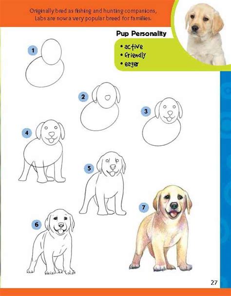 Learn to Draw Dogs & Puppies: Step-by-step instructions for more than 25 different breeds ...