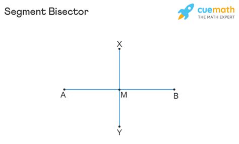 Segment Bisector - Definition, Types, Perpendicular Bisector, Examples