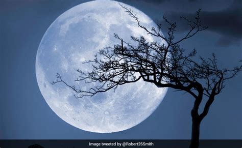 Halloween Blue Moon In 2020: A Blue Moon On Halloween, Know All About It