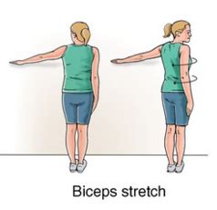 Biceps Tendonitis Exercise | New Health Advisor