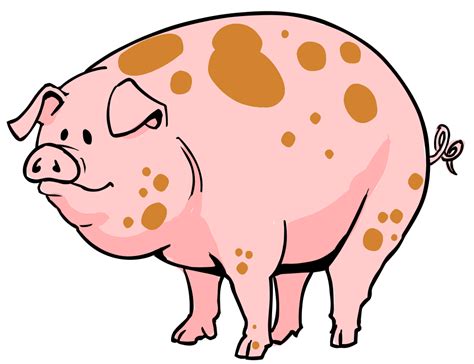 Free Cartoon Pig Pictures, Download Free Cartoon Pig Pictures png images, Free ClipArts on ...