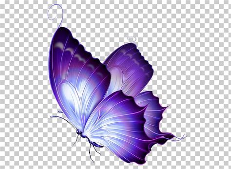 Butterfly Purple PNG, Clipart, Butterflies, Butterfly, Color, Drawing, Flower Free PNG Download