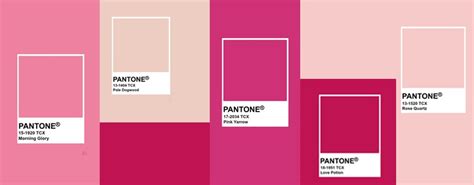 Pantone Pink Shades | Handpicked Pink Pantone Colors