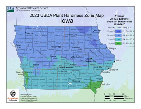 Iowa Vegetable Planting Calendar: A Quick and Easy Guide