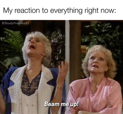 17 golden girls quotes that are guaranteed to make your day – Artofit