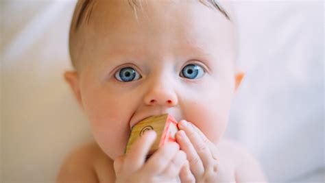 Milk Teeth: Dental Care For Infants And Toddlers