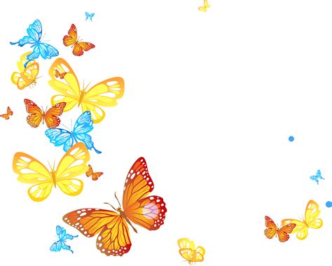 Divider clipart butterfly, Divider butterfly Transparent FREE for download on WebStockReview 2024