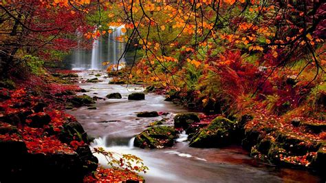 Fall Nature Desktop Wallpapers - Top Free Fall Nature Desktop Backgrounds - WallpaperAccess