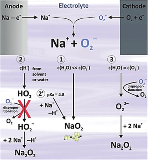 Suggested reaction pathways for the formation of sodium superoxide and... | Download Scientific ...