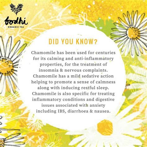 Benefits of chamomile | Natural home remedies, Restful sleep, Sedation