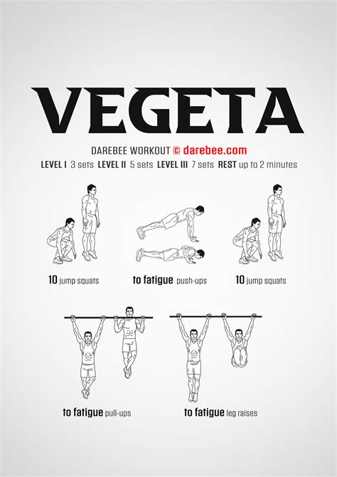 Vegeta Workout