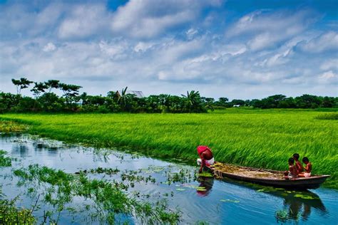 bangladesh hero alom: Nature