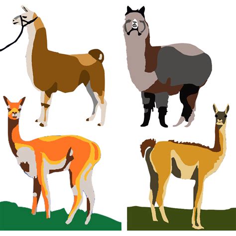 Llama and Alpaca Distribution Map