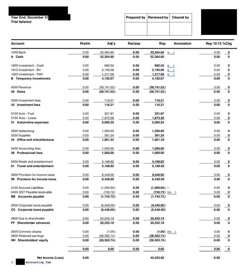 Heartwarming Detailed Trial Balance Aicpa Personal Financial Statements Guide