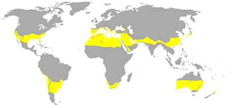 List of locations with a subtropical climate - Wikiwand