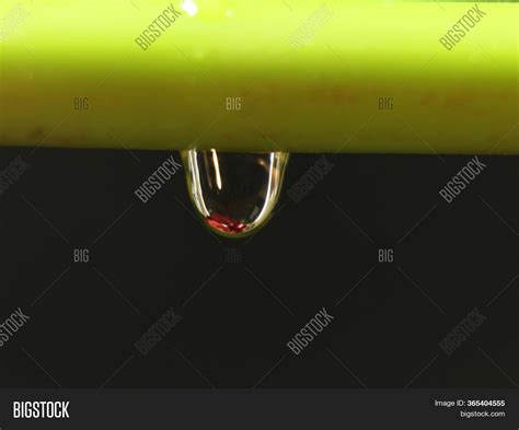 Macro Flower Drop Image & Photo (Free Trial) | Bigstock