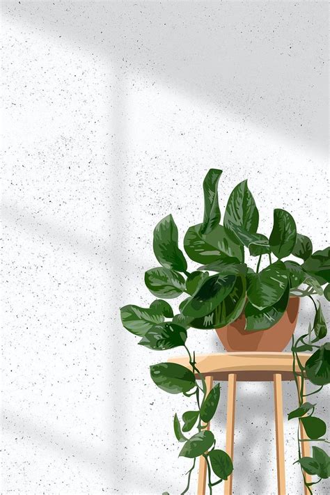 Indoor plant background aesthetic vector, hanging pothos white wall with natural light | free ...