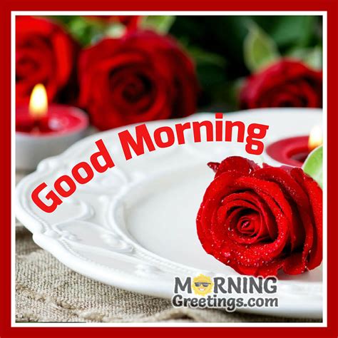 51 Good Morning Wishes With Rose - Morning Greetings – Morning Quotes And Wishes Images