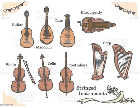 string instruments | Musikclass 2024