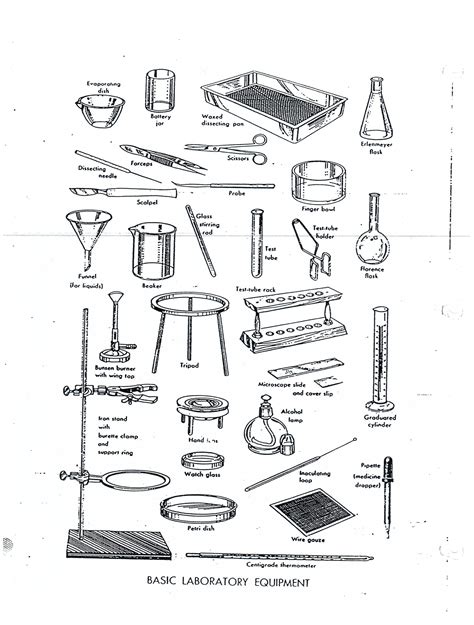 Basic Laboratory Equipment List