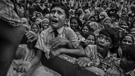 2018 Pulitzer Prize winners in photography Photos - ABC News