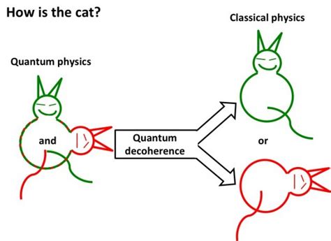 Quantum mechanics in biological systems (I): Introduction - Mapping Ignorance