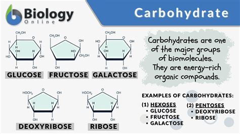 Carbohydrate Definition and Examples - Biology Online Dictionary