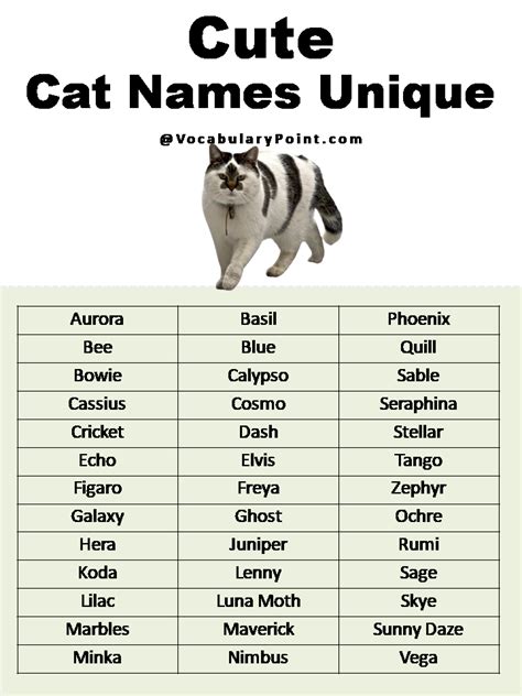 Get inspired cute cats names For naming your new feline friend