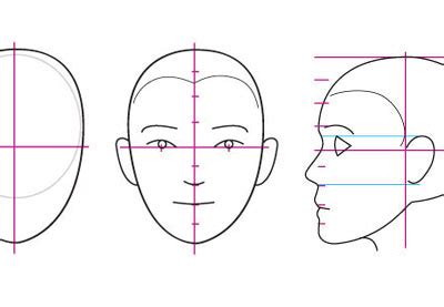 Fundamentos de Anatomia Humana: Noções Básicas do Rosto | Envato Tuts+