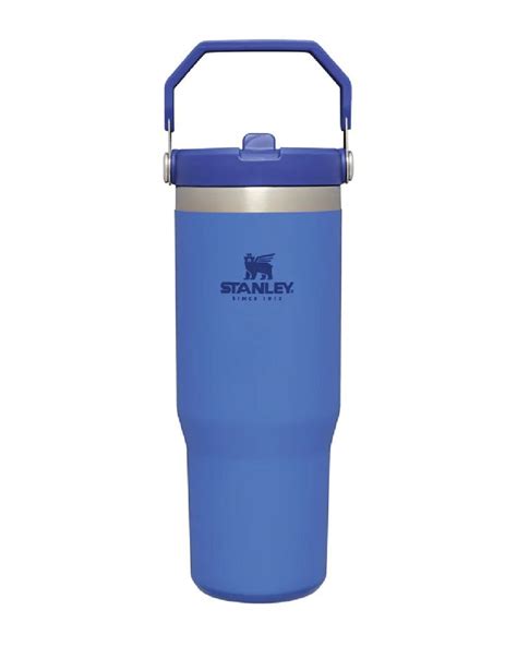 Stanley IceFlow Flip Straw Tumbler 0.89L in Iris #colour_iris Preppy Water Bottles, Cute Water ...