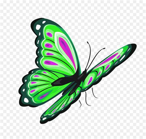 Butterfly Clip art - Large Transparent Multi Color Butterfly PNG Clipart png download - 2900* ...