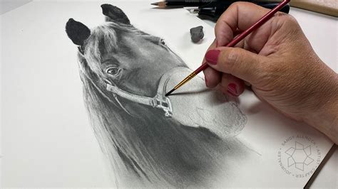 Draw a graphite portrait of a horse - Sandy Allnock