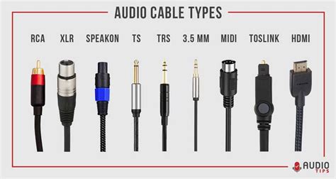 11 Audio Cable Types Explained (2024 With Infographic) - Audio Tips