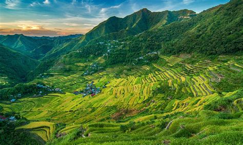 Banaue Rice Terraces Activities and Attractions | Vacationhive