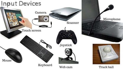 What is an input device? Types of Input Devices | by Try Education Types | Medium