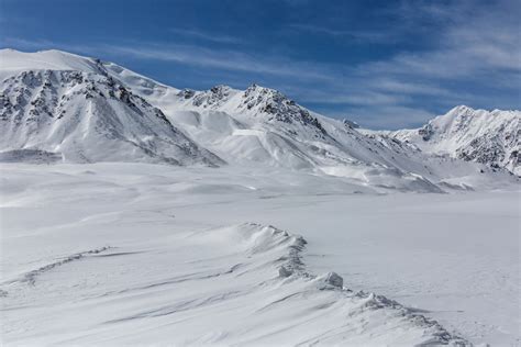 Tundra Land Biome Description and Characteristics