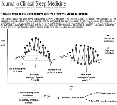 Two Distinct Patterns of Hyperpnea During Cheyne-Stokes Respiration: Implication for Cardiac ...