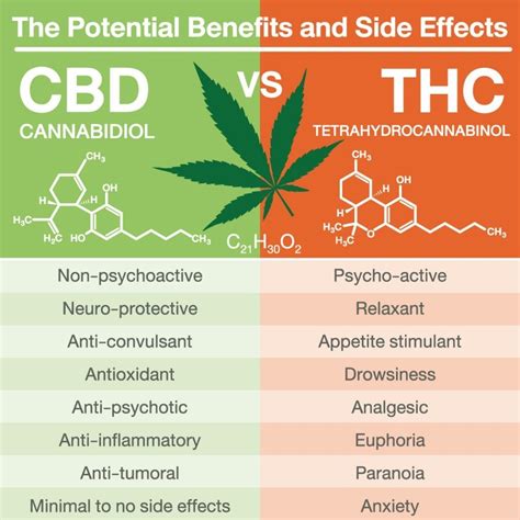 CBD Doesn’t Mitigate Negative Effects of THC in Cannabis, Study Finds - CBD Wellness Centre