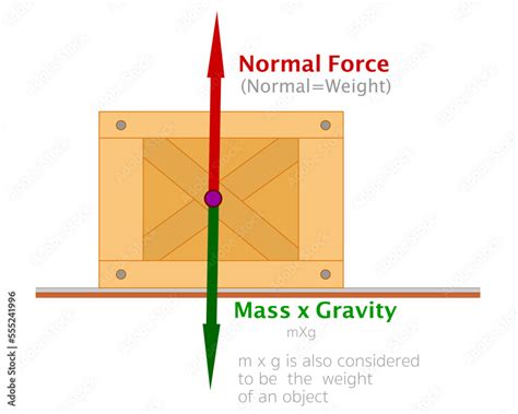 Free body diagram. Normal force load, weight mass gravity. Identifying action reaction forces ...