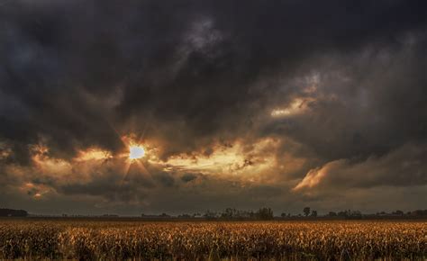 Sunset over corn field - Pentax User Photo Gallery