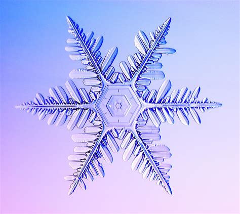 Snowflake Photograph by Kenneth Libbrecht/science Photo Library - Fine ...