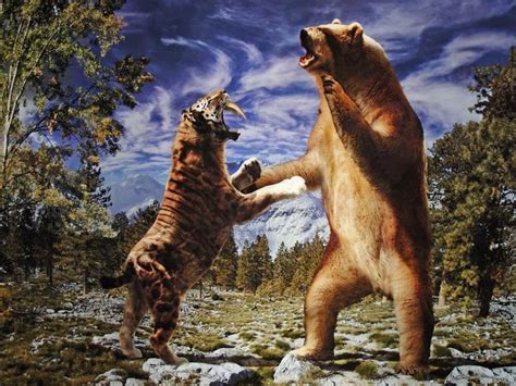 Short-faced bear – the largest bear of all time? | DinoAnimals.com